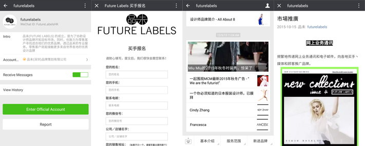 FUTURE LABELS GROUP LIMITED